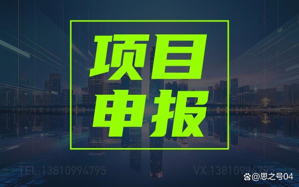 热丰网 如何申报2025年重点小巨人企业？重点小巨人企业认定标准是什么？