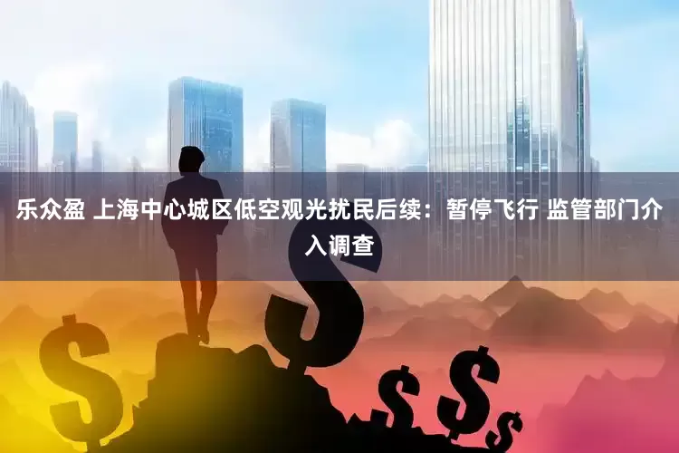 乐众盈 上海中心城区低空观光扰民后续：暂停飞行 监管部门介入调查