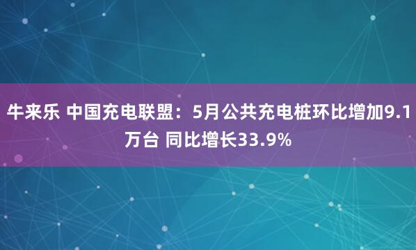 牛来乐 中国充电联盟：5月公共充电桩环比增加9.1万台 同比增长33.9%